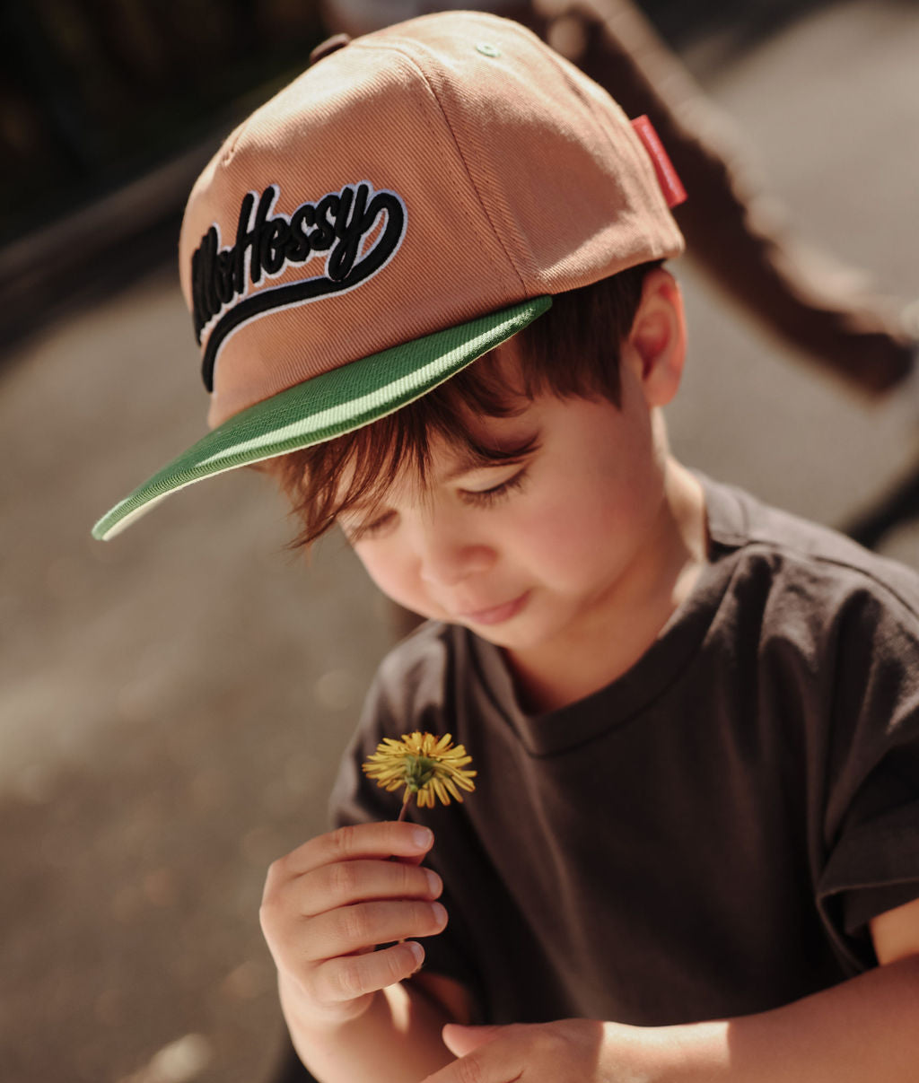 Homerun Brown Cap