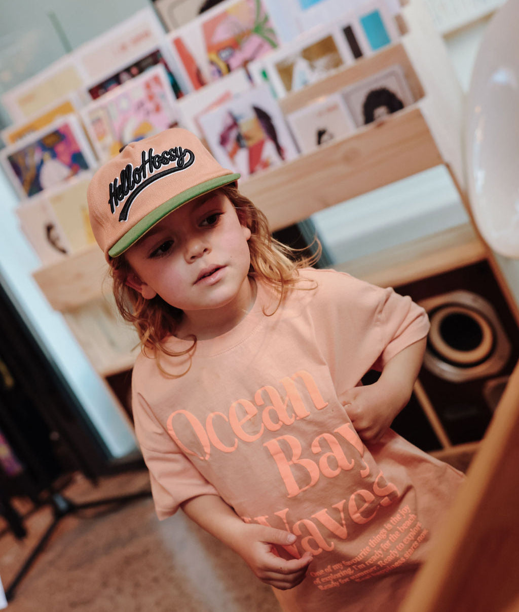 Homerun Brown Cap