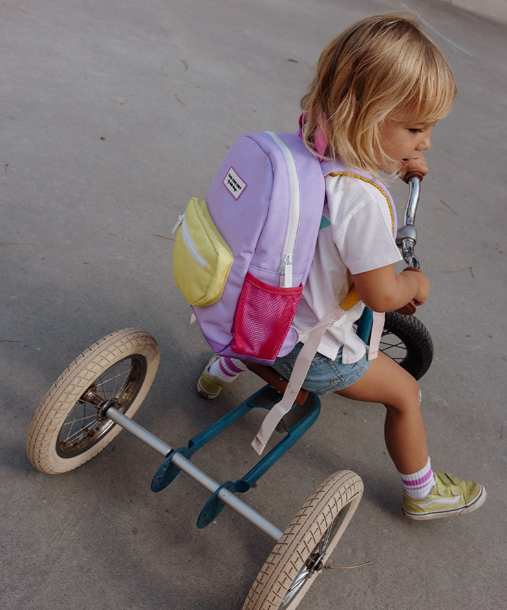 Mini Mauve Backpack