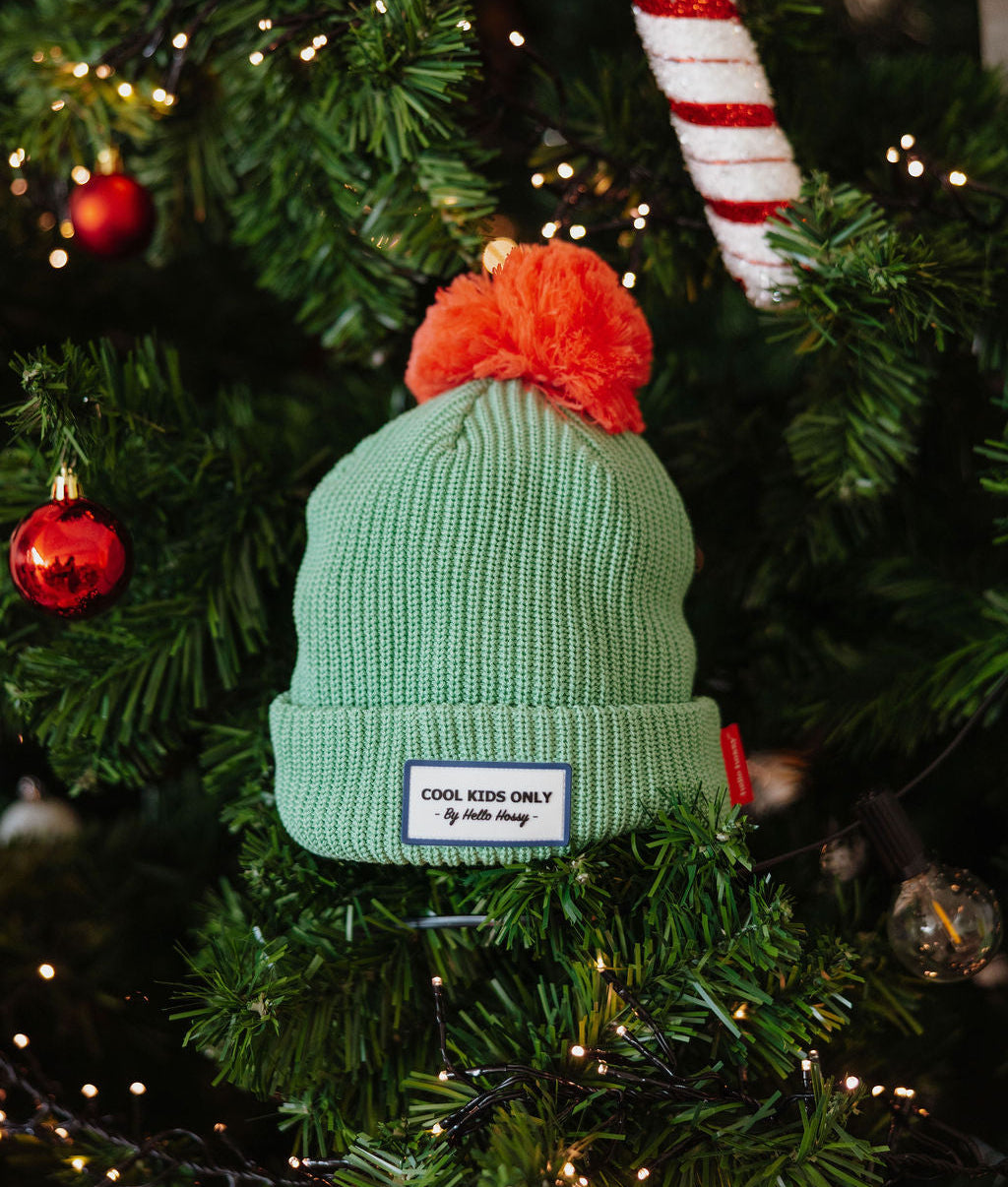 Color Block Santa Beanie