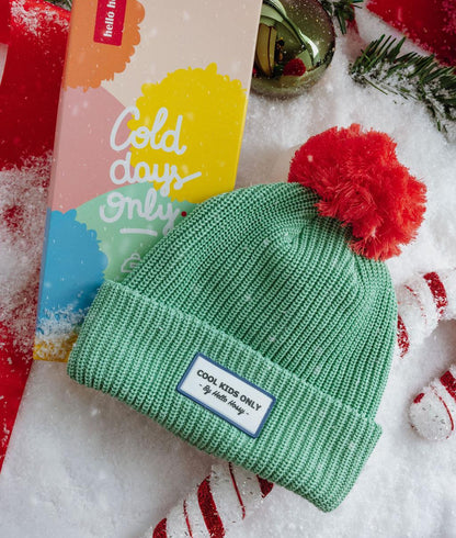 Color Block Santa Beanie