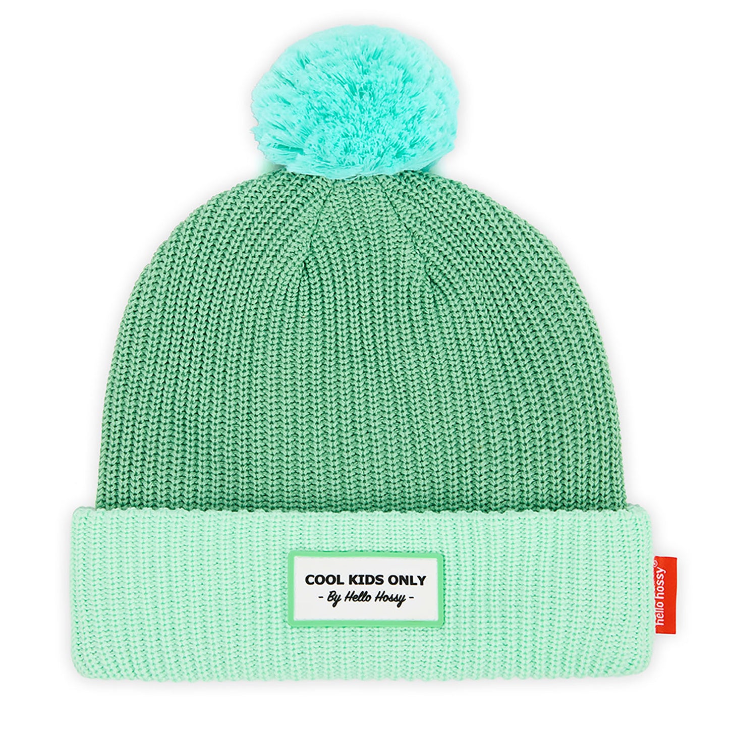 Color Block Minty Beanie